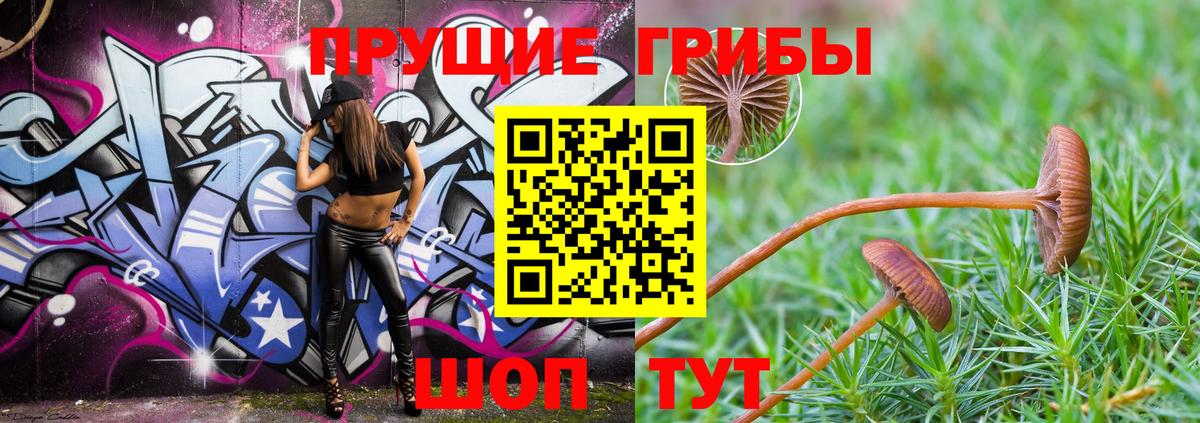 Псилоцибиновые грибы ЛСД  Псилоцибиновые грибы Psilocybine cubensis  Белгород  где купить наркоту  Вход с VPN 